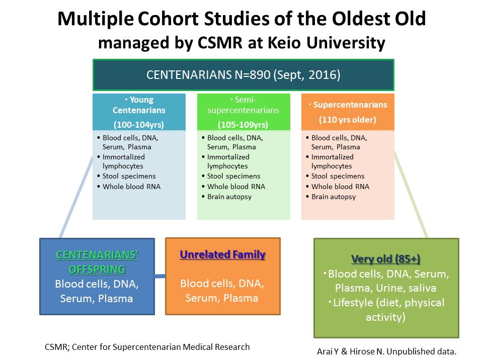 Multiple Cohort Studies of the Oldest Old managed by CSMR at Keio University