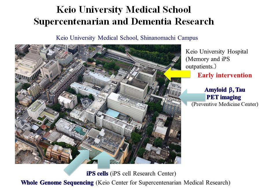 Overview of iPS research by Professor Okano and colleagues